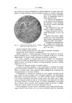 giornale/RML0015994/1924-1925/unico/00000450