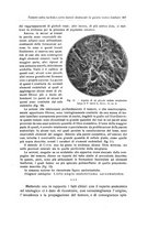 giornale/RML0015994/1924-1925/unico/00000451