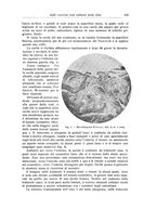 giornale/RML0015994/1924-1925/unico/00000473