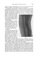 giornale/RML0015994/1924-1925/unico/00000475