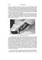 giornale/RML0015994/1924-1925/unico/00000532