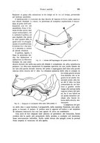 giornale/RML0015994/1924-1925/unico/00000549