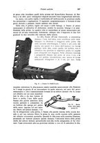 giornale/RML0015994/1924-1925/unico/00000551