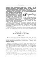 giornale/RML0015994/1924-1925/unico/00000555