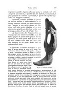 giornale/RML0015994/1924-1925/unico/00000563