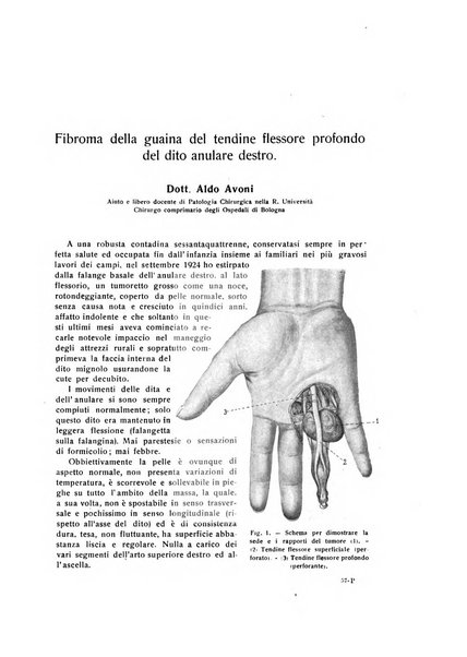 La chirurgia degli organi di movimento