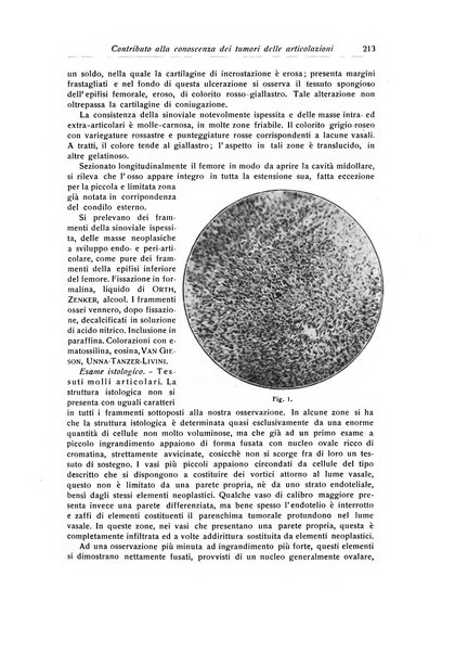 La chirurgia degli organi di movimento