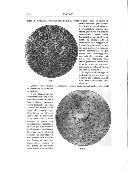 La chirurgia degli organi di movimento