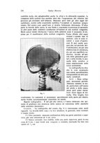 giornale/RML0015994/1925-1926/unico/00000242