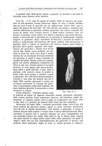 giornale/RML0015994/1925-1926/unico/00000339