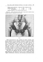 giornale/RML0015994/1925-1926/unico/00000379