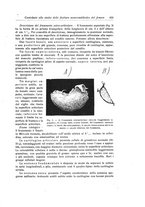 giornale/RML0015994/1925-1926/unico/00000445