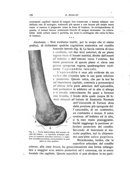 La chirurgia degli organi di movimento