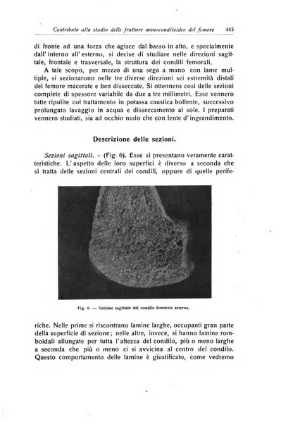 La chirurgia degli organi di movimento