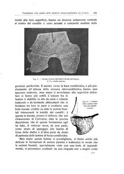 La chirurgia degli organi di movimento