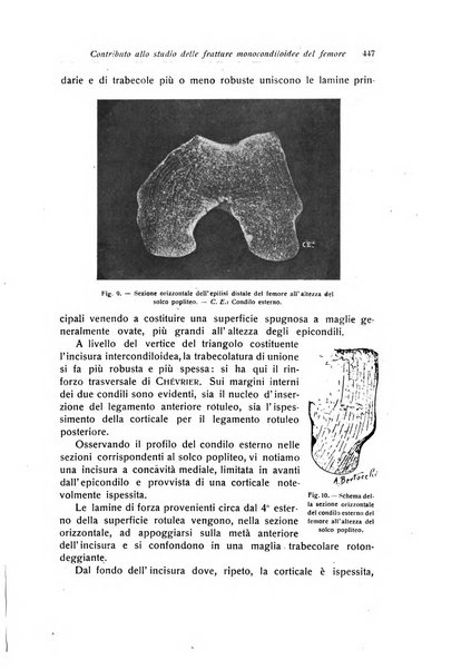 La chirurgia degli organi di movimento