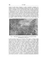 giornale/RML0015994/1925-1926/unico/00000572