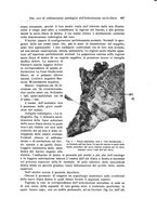 giornale/RML0015994/1925-1926/unico/00000621