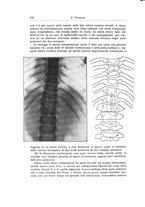 giornale/RML0015994/1925-1926/unico/00000630