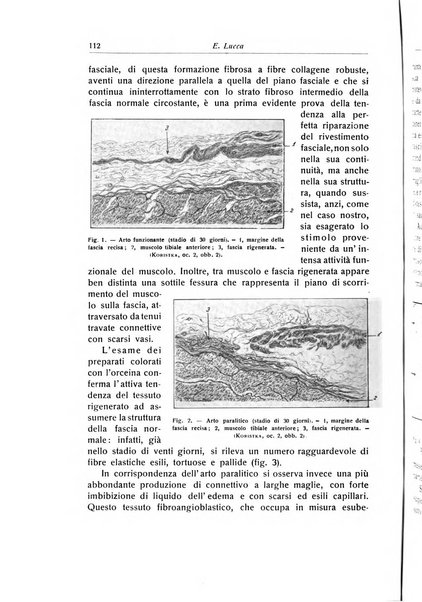 La chirurgia degli organi di movimento