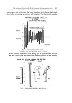 giornale/RML0015994/1926-1927/unico/00000325