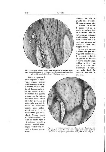 La chirurgia degli organi di movimento