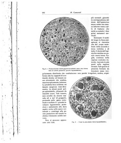 La chirurgia degli organi di movimento