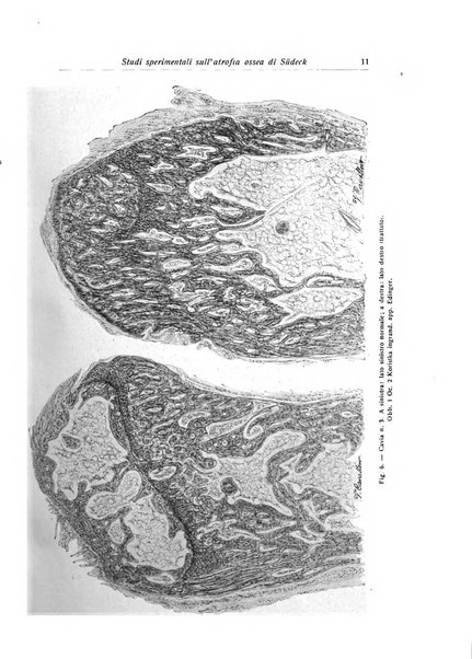 La chirurgia degli organi di movimento