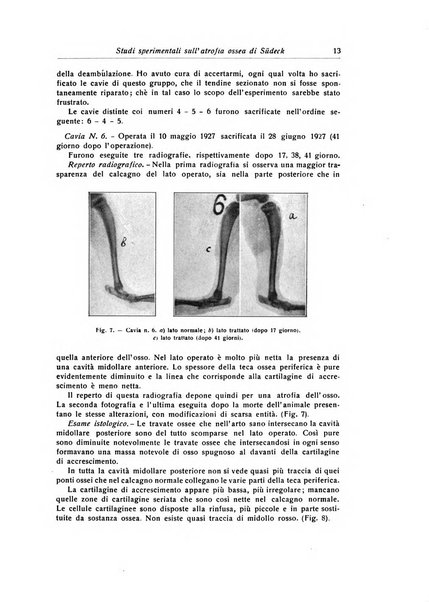 La chirurgia degli organi di movimento