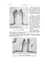 giornale/RML0015994/1928-1929/unico/00000028