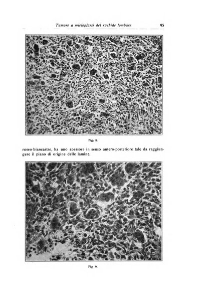 La chirurgia degli organi di movimento