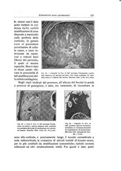 La chirurgia degli organi di movimento