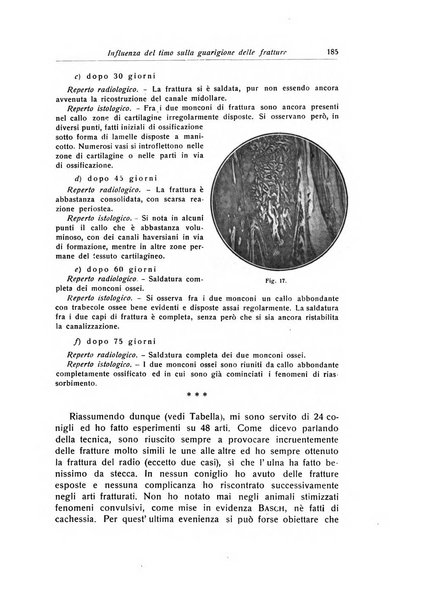 La chirurgia degli organi di movimento