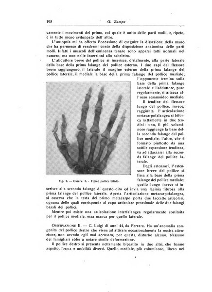 La chirurgia degli organi di movimento