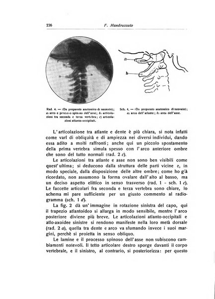 La chirurgia degli organi di movimento