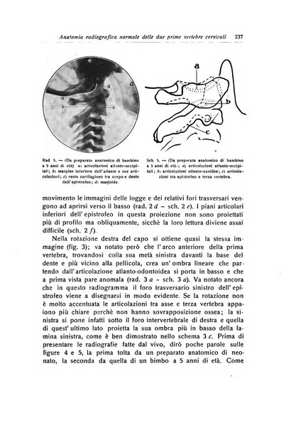 La chirurgia degli organi di movimento