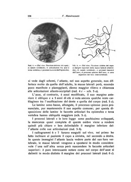 La chirurgia degli organi di movimento