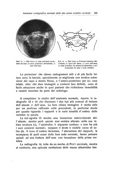 La chirurgia degli organi di movimento