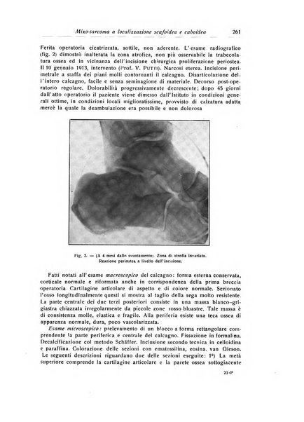 La chirurgia degli organi di movimento