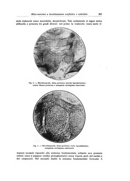 La chirurgia degli organi di movimento