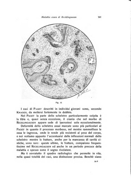 La chirurgia degli organi di movimento