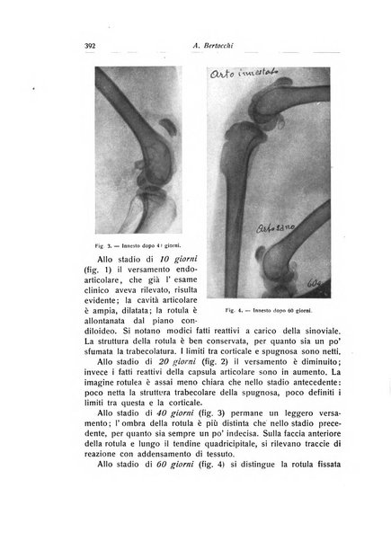 La chirurgia degli organi di movimento