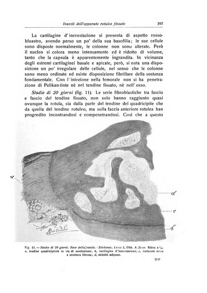 La chirurgia degli organi di movimento