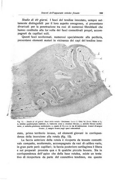 La chirurgia degli organi di movimento