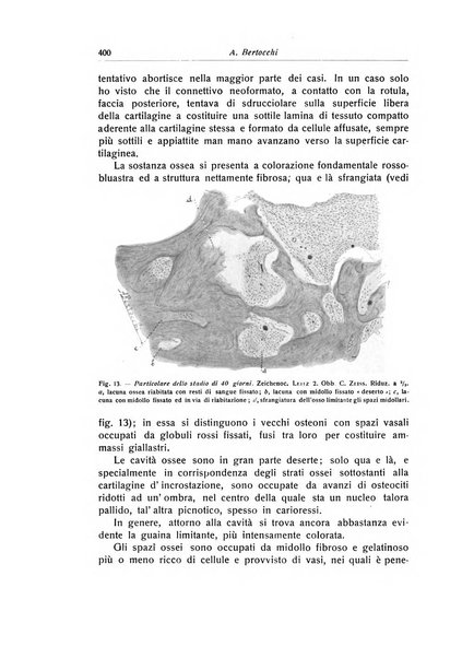 La chirurgia degli organi di movimento