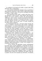 giornale/RML0015994/1928-1929/unico/00000425