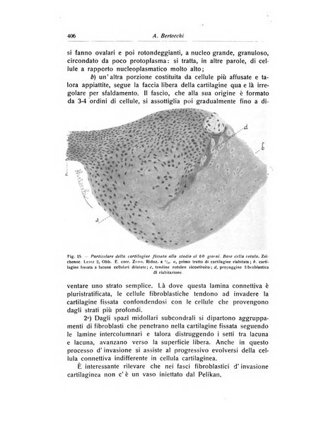 La chirurgia degli organi di movimento