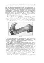 giornale/RML0015994/1928-1929/unico/00000517