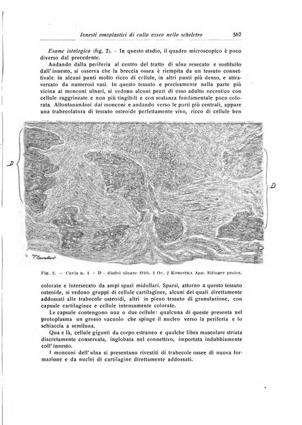 La chirurgia degli organi di movimento