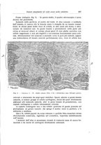 giornale/RML0015994/1928-1929/unico/00000595